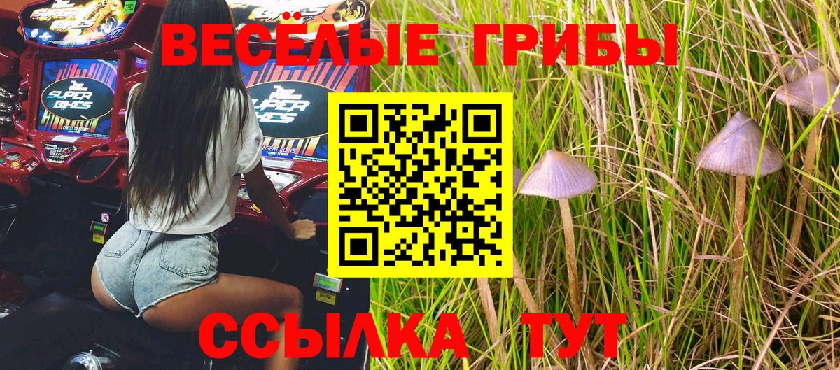 Псилоцибиновые грибы MAGIC MUSHROOMS  сколько стоит  Вход с VPN  Нягань  Псилоцибиновые грибы прущие грибы 